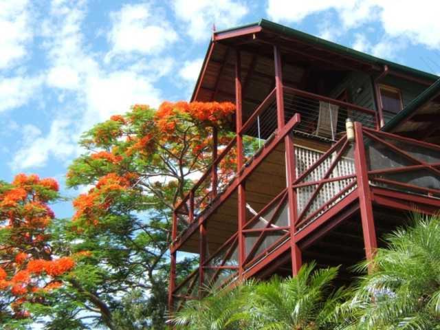 Bed and Breakfast Maleny Tropical Retreat Esterno foto