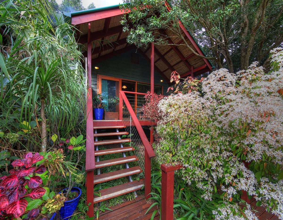 Bed and Breakfast Maleny Tropical Retreat Esterno foto
