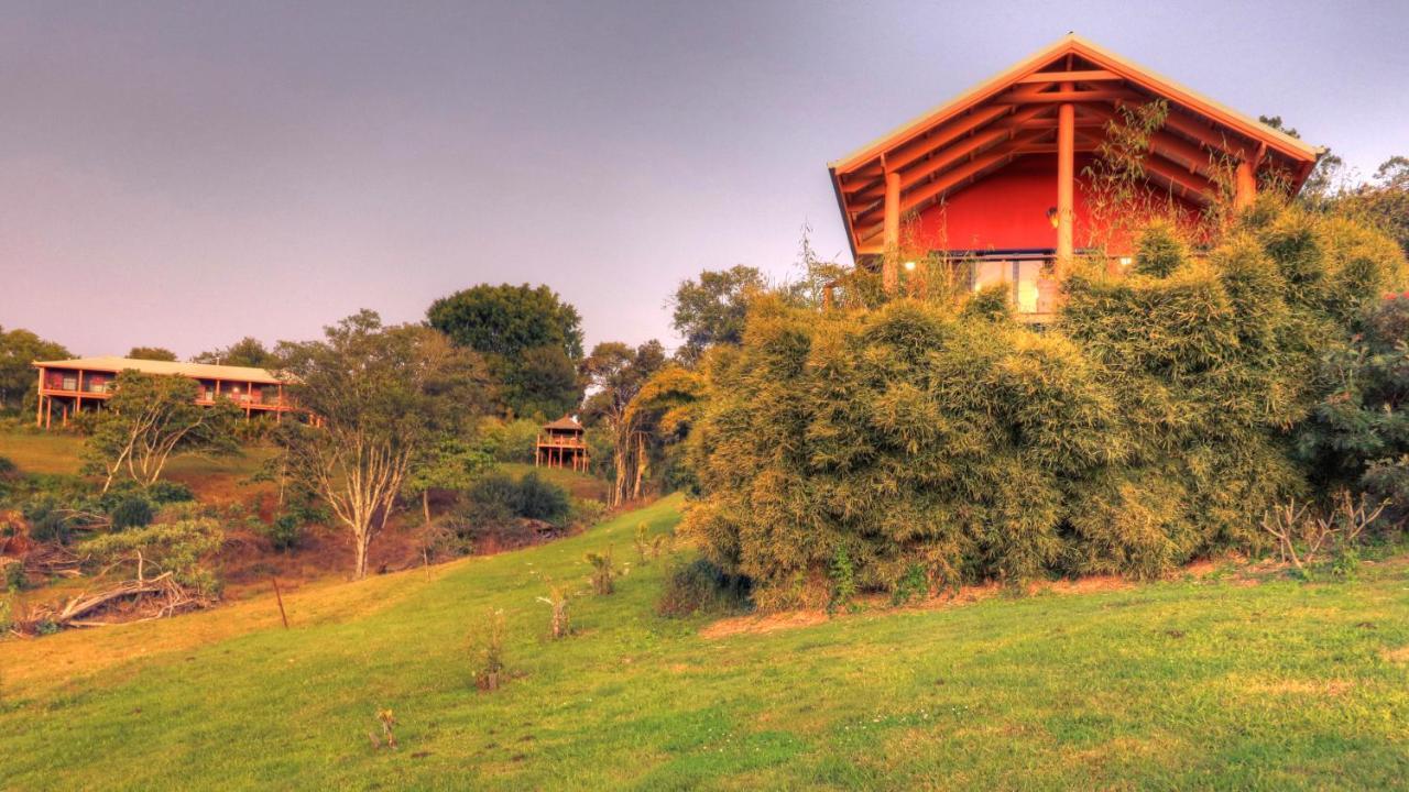 Bed and Breakfast Maleny Tropical Retreat Esterno foto