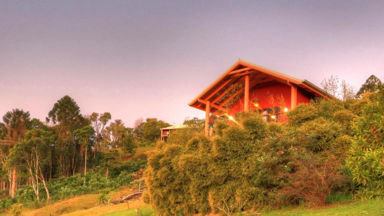 Bed and Breakfast Maleny Tropical Retreat Esterno foto