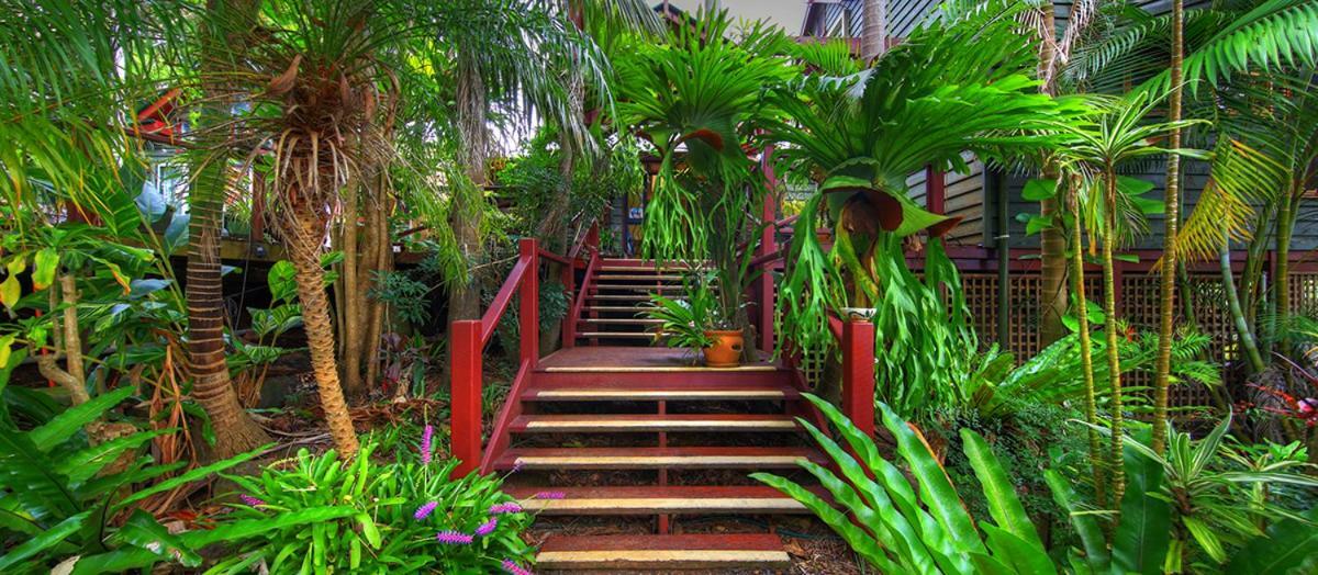 Bed and Breakfast Maleny Tropical Retreat Esterno foto